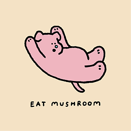 食菇