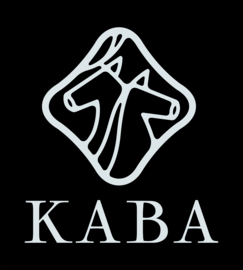 KABA: Innovation of Tsugaru lacquerware, a traditional craft of Japan for more than 300 years
